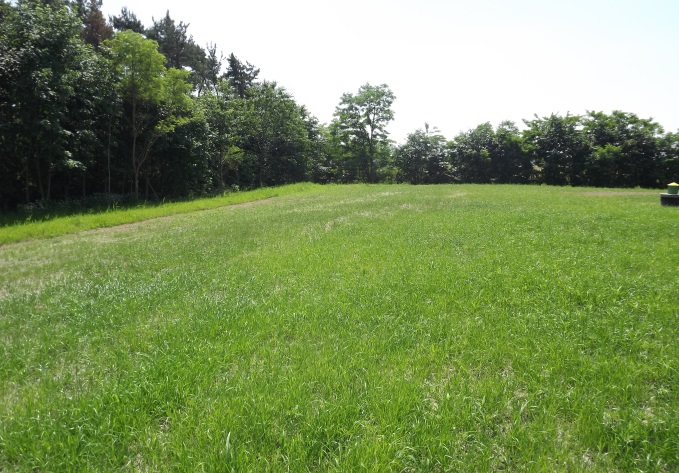 - foto_1.jpg - foto_1.jpg