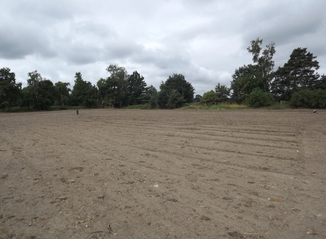 - foto_2.jpg - foto_2.jpg