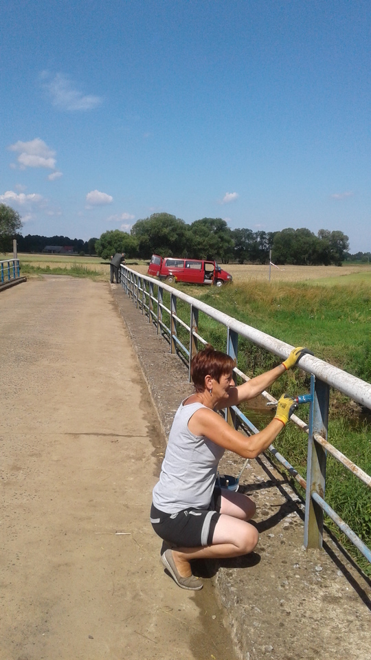 - 20170712_105621.jpg - 20170712_105621.jpg