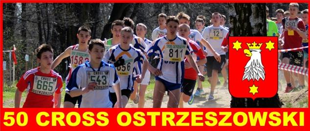 - cross.jpg - cross.jpg