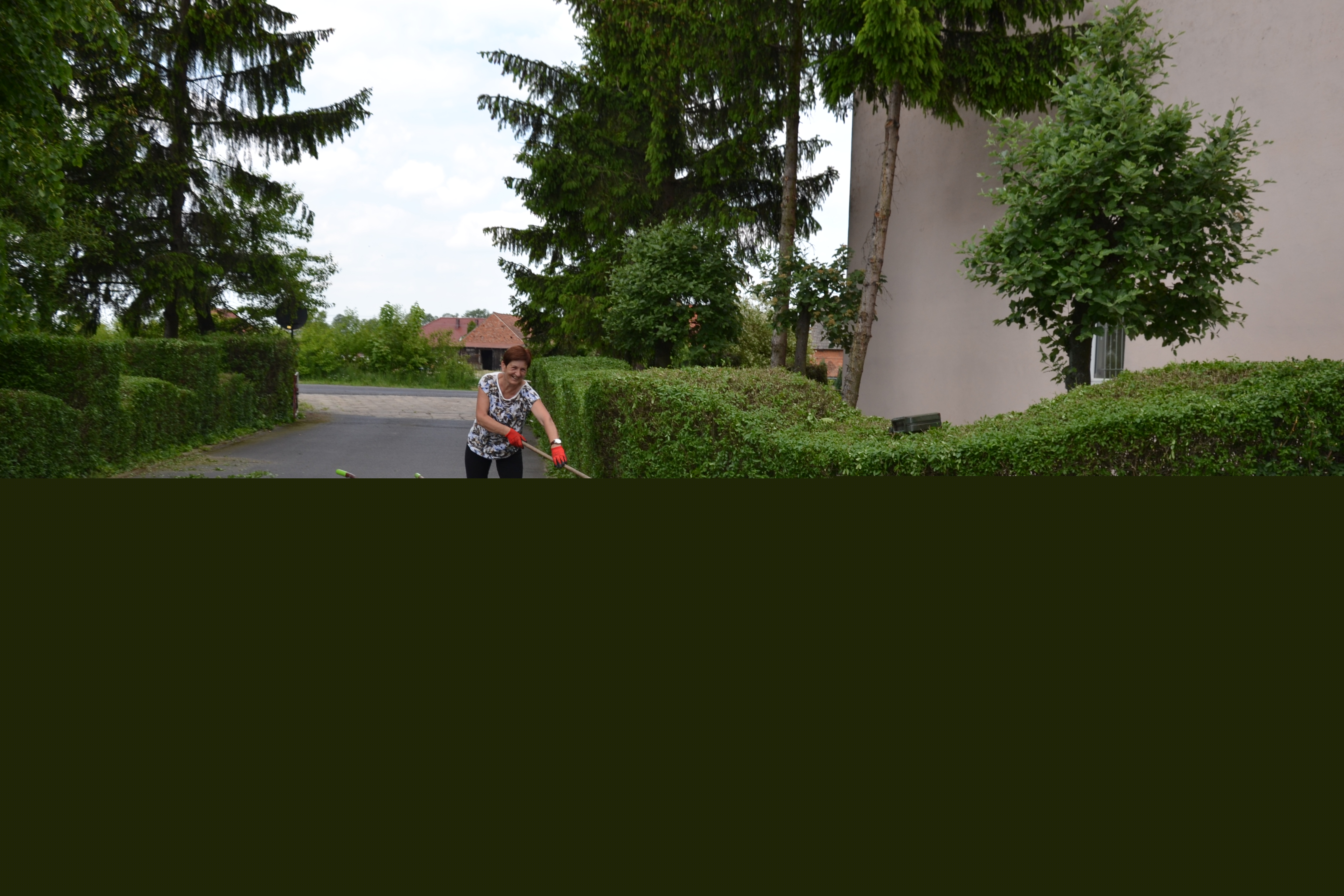 - dsc_1446.jpg - dsc_1446.jpg