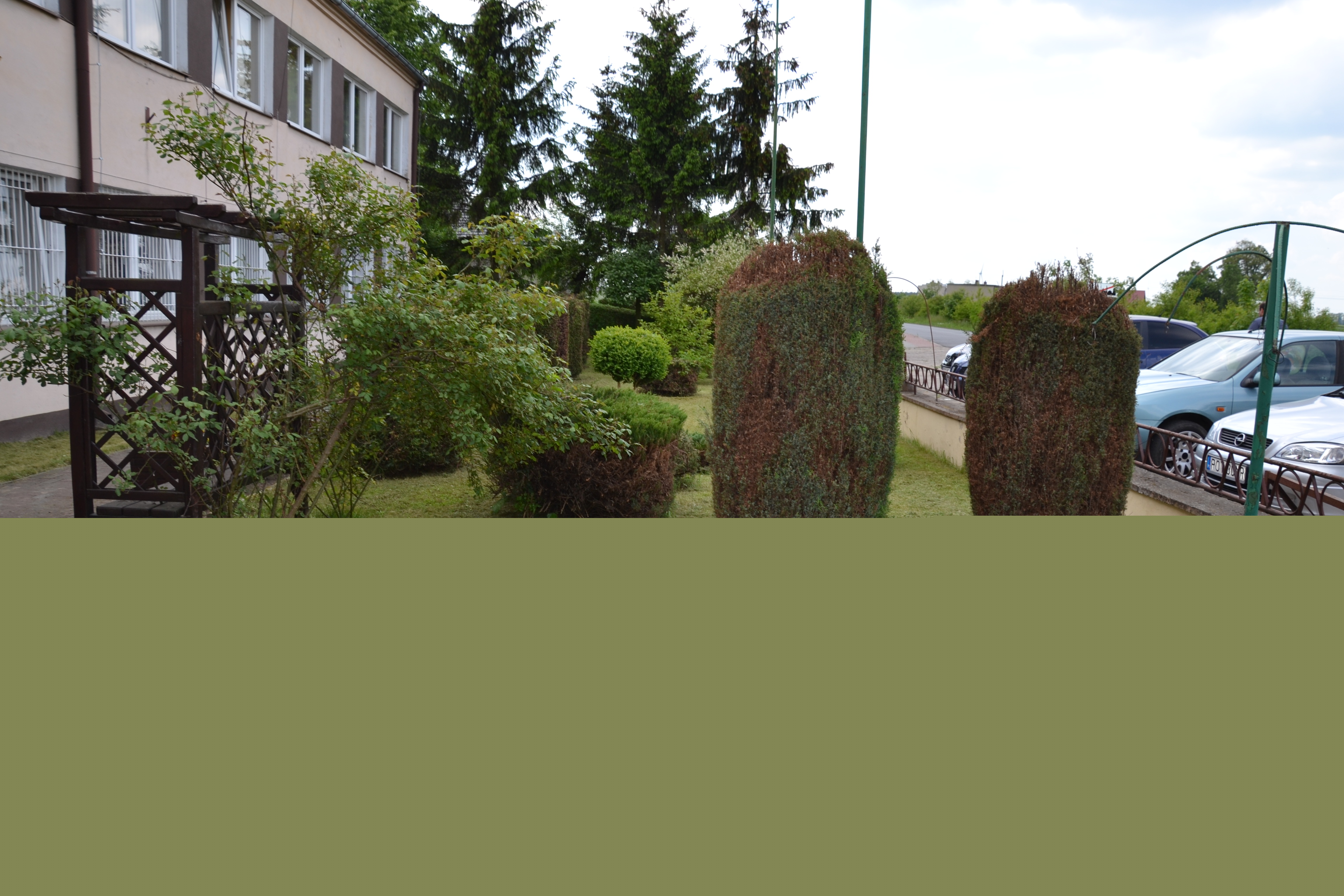 - dsc_1447.jpg - dsc_1447.jpg