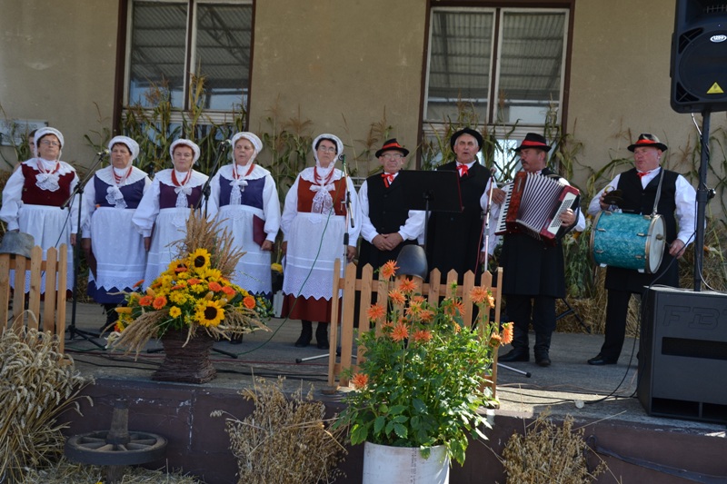 - dsc_2225.jpg - dsc_2225.jpg