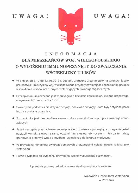 - lisy_wiw.jpg - lisy_wiw.jpg